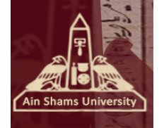 Ain Shams University
