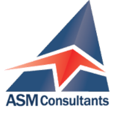 Airport Safety Management (ASM) Consultants