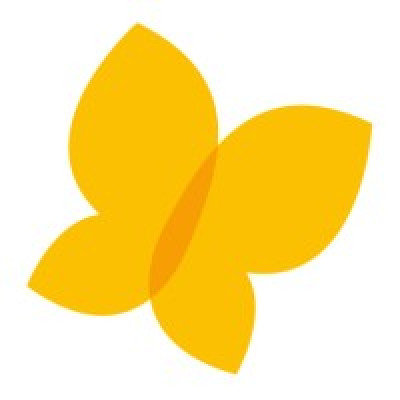 Alana Foundation