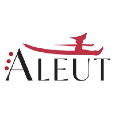 Aleut-Odle Training And Development, JV