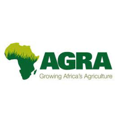 In-Country Grants Officer avatar
