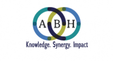 ABH PARTNERS PLC