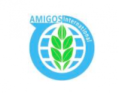 Amigos International