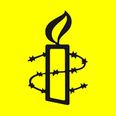 Amnesty International, Erlange
