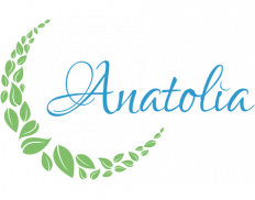 Anatolia Gençlik ve Girişimcil