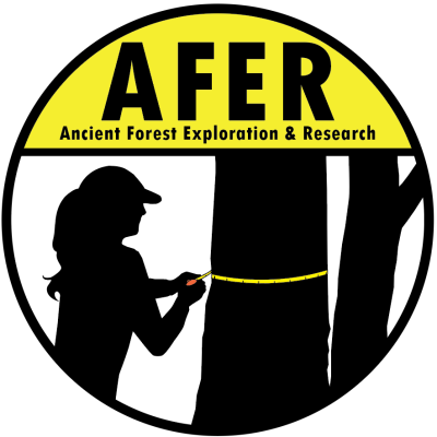 Ancient Forest Exploration & R