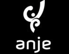 ANJE- Associação Nacional de Jovens Empresários