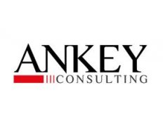 ANKEY Consulting (Turkey)
