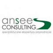 Ansee Consulting