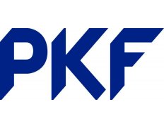 AO MCD (PKF Russia)