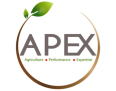 APEXAGRI