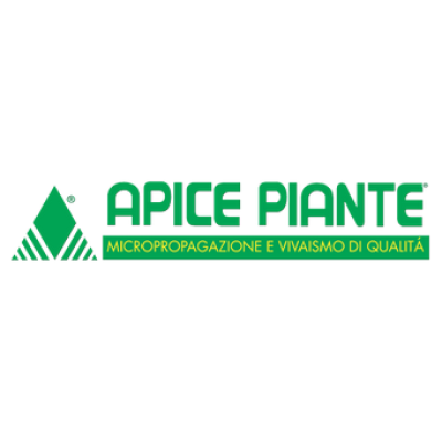 Apice Piante