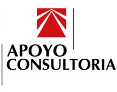 Apoyo Consultoría
