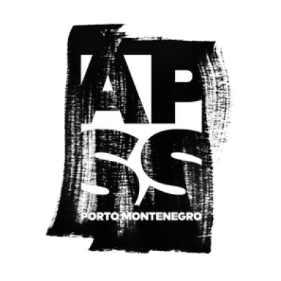 Kotor APSS - NVO APSS Institut