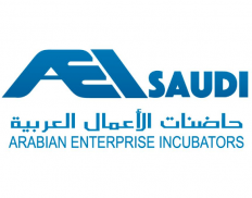 Arabian Enterprise Incubators (AEI Saudi)