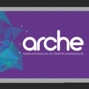 Arche consultancy