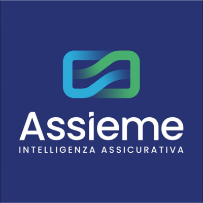 Assieme 2008 S.p.A.