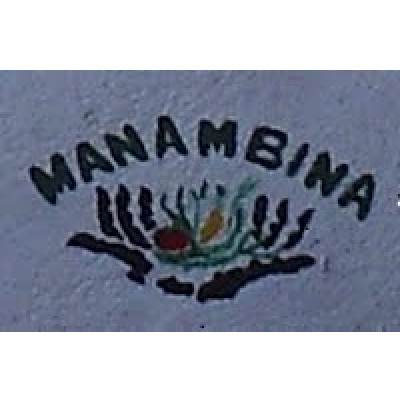 Association Manambina