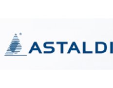☑️ASTALDI (Poland) — Consulting organization from Poland, experience ...