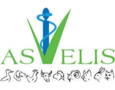 ASVELIS