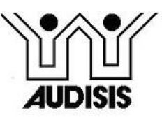 AUDISIS - Auditoría Integral y