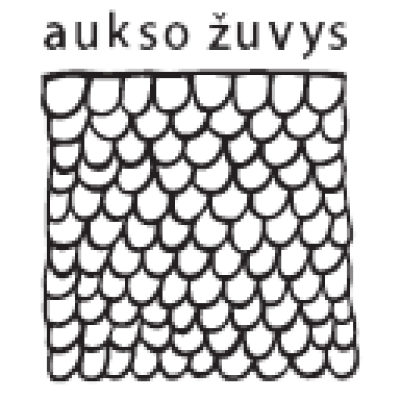 Aukso žuvys