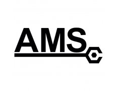 Automotive Management Services - AMS (USA)