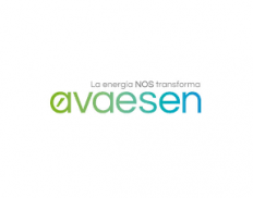 AVAESEN - Valencian Region Ene