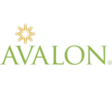 Avalon Consulting Group Inc.