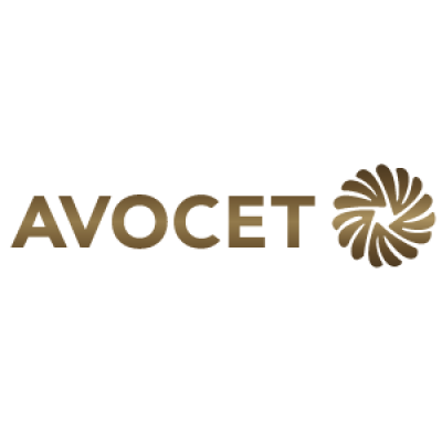 Avocet Mining