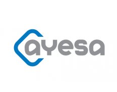 Ayesa India