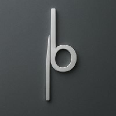 B PRO CONSUL LLC