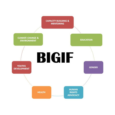 BIGIF - Balm in Gilead Foundation for Sustainable Development