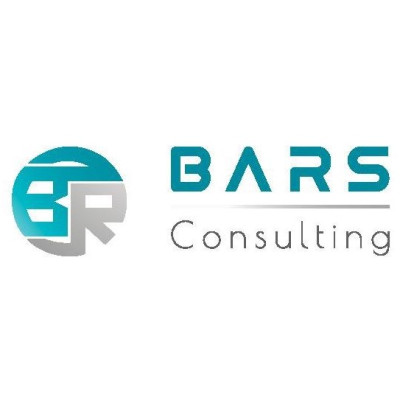 BARS Consulting LLC