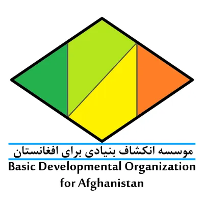 Basic Developmental Organizati