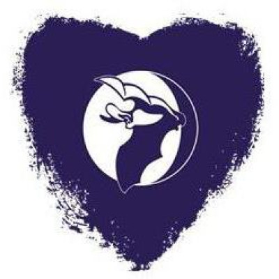 Bat COnservation Trust