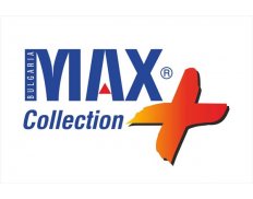 Battery (Max)