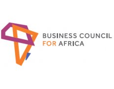 BCA - Business Council for Afr