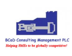 BCaD Consulting Management Plc
