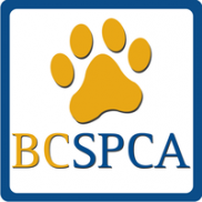 BCSPCA - The British Columbia 