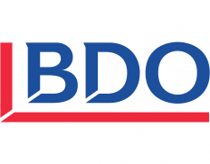 BDO Consulting LLC