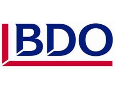 BDO Management Consulting Limited