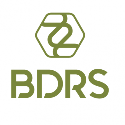 BDRS Consulting Limited