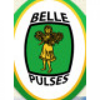 Belle Pulses