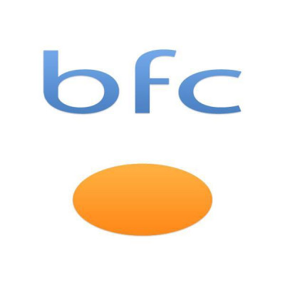 BFC  - Business and Finance Consulting (Estonia)