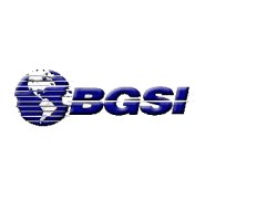 BGSI - Business & Government Strategies International
