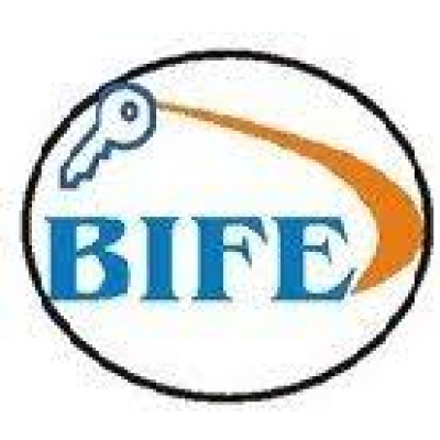 BIFE auditors