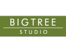 Big Tree Studio S.R.L.