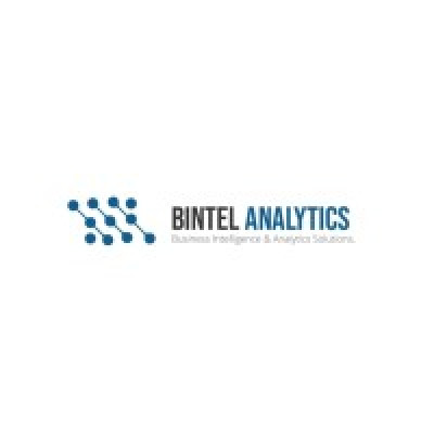 Bintel Analytics Limited
