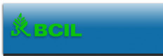 Biotech Consortium India Ltd